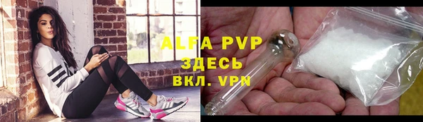 мяу мяу мука Баксан